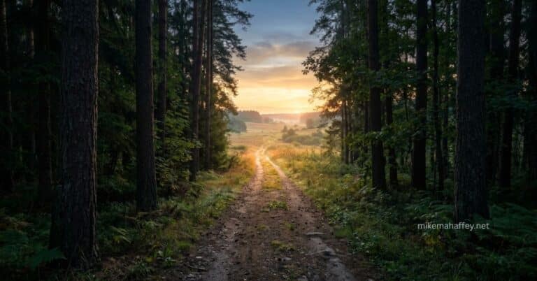 A narrow dirt path emerging from a dense forest into an open sunlit landscape at sunrise, the way forward clear and illuminated, capturing the journey through new Christian struggles toward the light ahead.