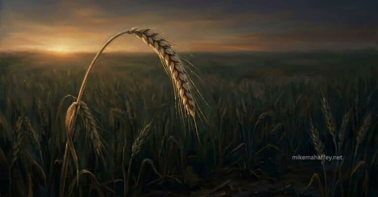 A lone wheat stalk strains upward under early morning light in a still field, echoing the exhaustion of striving without the Spirit's power.